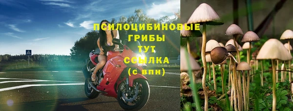 mix Гусев